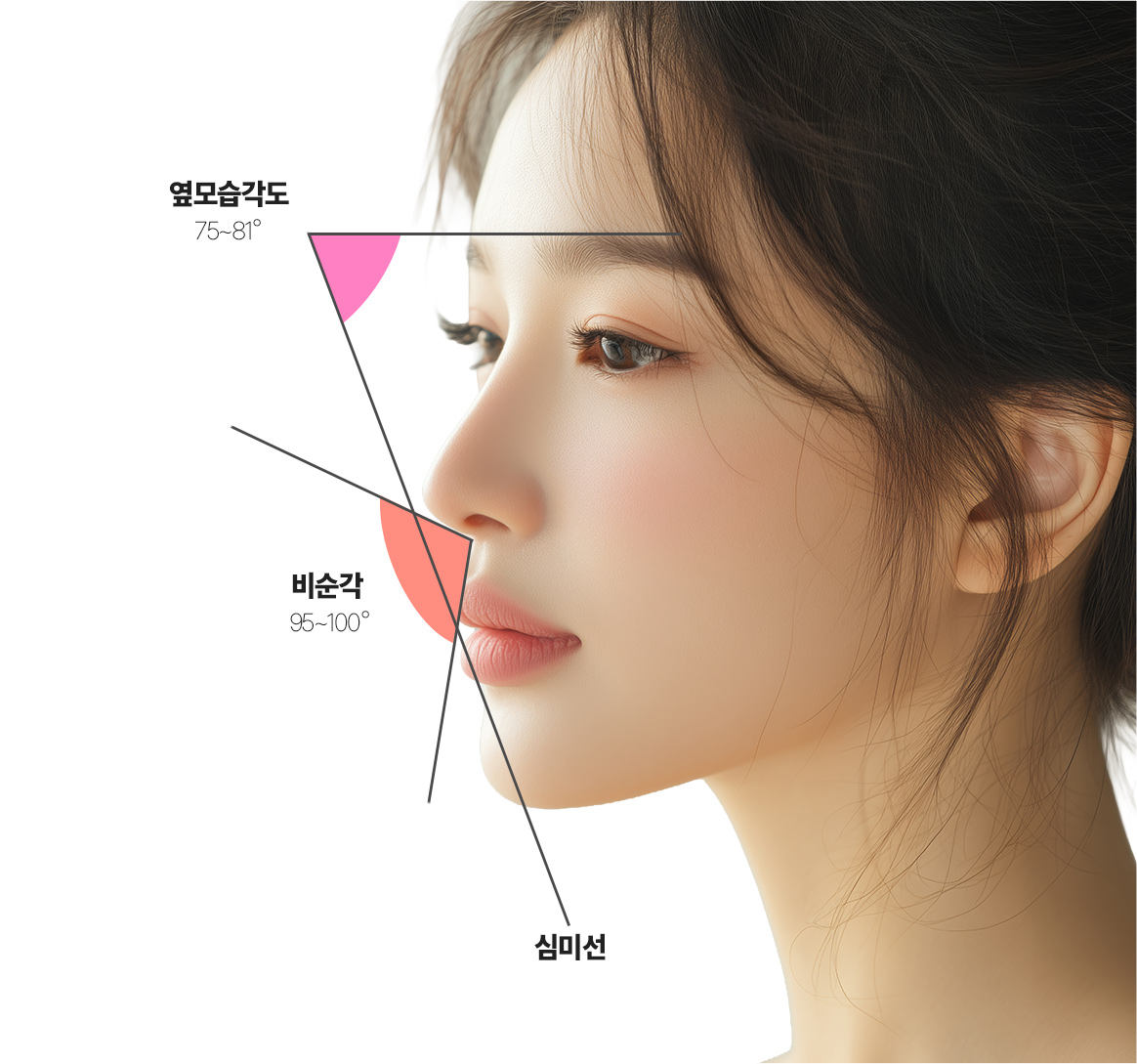 내 얼굴에 꼭 맞는 콧대